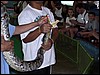 Thialand 12-03 049.jpg