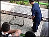 Thialand 12-03 233.jpg