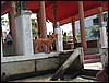 123_2335.JPG