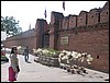 124_2442.JPG
