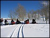 IMG_0458.JPG