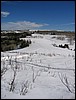 IMG_0464.JPG