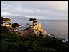 P1010033.JPG