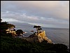 P1010034.JPG