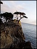 P1010035.JPG