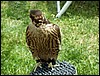 P1010060.JPG